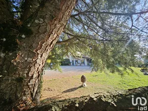 Murs commerciaux  à VIRIGNIN (01300)