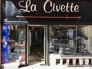 Civette à LILLE (59800)