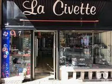 Civette à LILLE (59800)