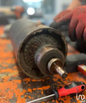 Business asset at CAVAILLON (84300)