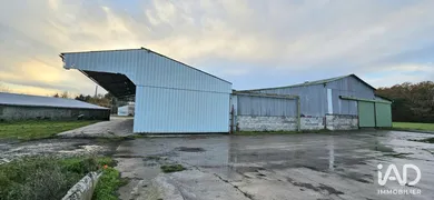 Hangar à LES BROUZILS (85260)