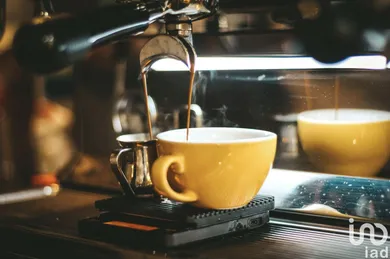 Restauration rapide à METZ (57000)