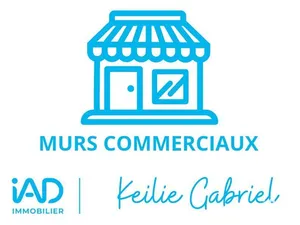 Commercial walls at NOISY-LE-GRAND (93160)