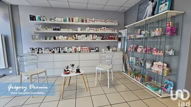 Commercial in PUISEAUX (45390)