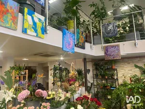 Boutique/Local commercial à TOURS (37000)