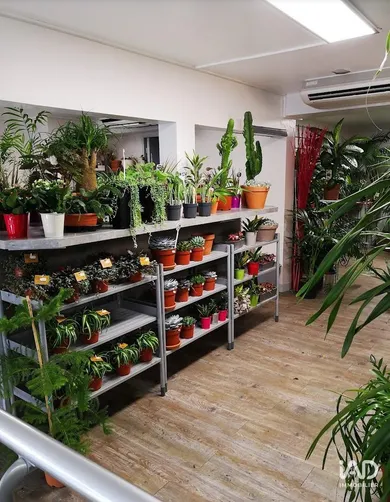 Commercial in TOURS (37000)