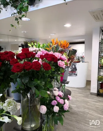 Commercial in TOURS (37000)