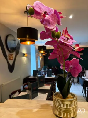 Restaurant à FRÉPILLON (95740)