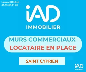Murs commerciaux à SAINT-CYPRIEN PLAGE (66750)