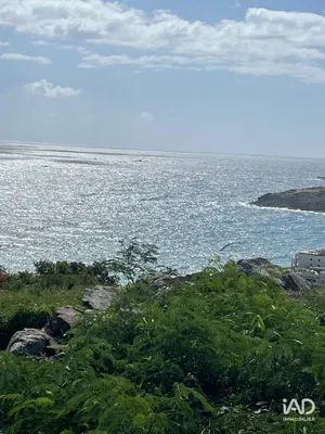 Terrain à SAINT-MARTIN (97150)