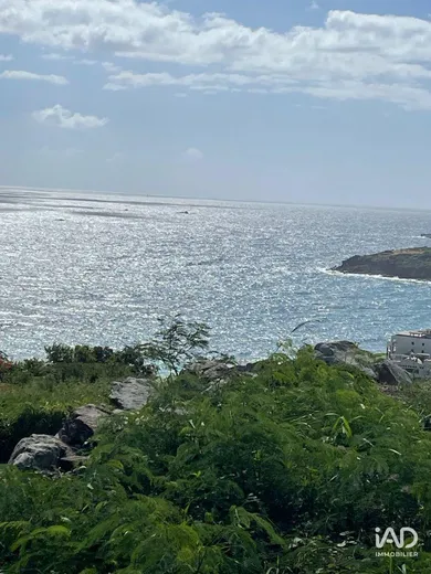 Terrain à SAINT-MARTIN (97150)