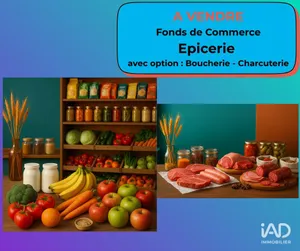 Commercial in VILLEDÔMER (37110)