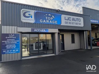 Business asset in MONTBIZOT (72380)