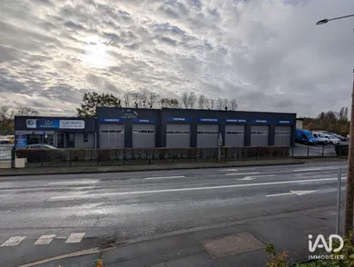 Business asset in MONTBIZOT (72380)