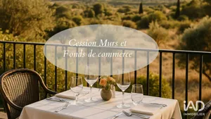 Murs commerciaux à MONTADY (34310)