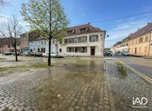 Bar-brasserie à NEUF-BRISACH (68600)