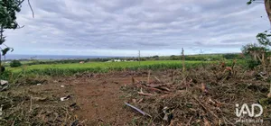 Terrain à SAINTE-MARIE (97438)