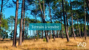Terrain à TOSSE (40230)
