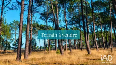 Terrain à TOSSE (40230)