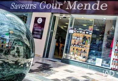 Commercial at MENDE (48000)