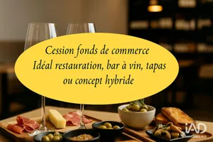 Restaurant à NARBONNE (11100)