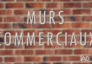 Commercial walls in HOUDAN (78550)