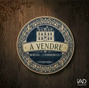 Murs commerciaux à PITHIVIERS (45300)