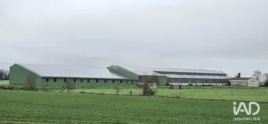 Warehouse in BEAUFOU (85170)