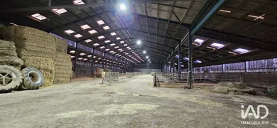 Warehouse in BEAUFOU (85170)