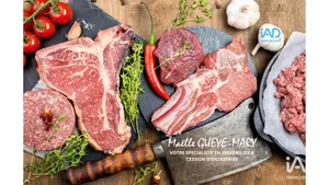 Commercial in CLISSON (44190)