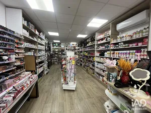 Commercial in VAIRES-SUR-MARNE (77360)