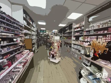 Commercial in VAIRES-SUR-MARNE (77360)