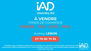 Boutique/Local commercial à CLERMONT-L'HÉRAULT (34800)