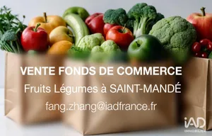 Commercial in SAINT-MANDÉ (94160)