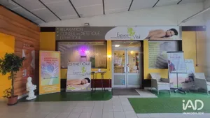 Commercial walls in AMILLY (45200)