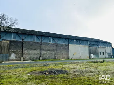 Murs commerciaux  à BEAUCOUZÉ (49070)