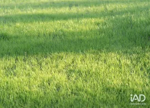 Murs commerciaux à BEAUCOUZÉ (49070)