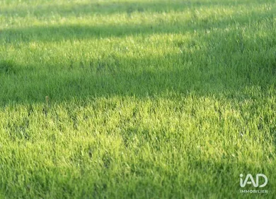 Murs commerciaux à BEAUCOUZÉ (49070)