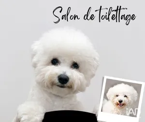 Boutique/Local commercial à NICE (06300)