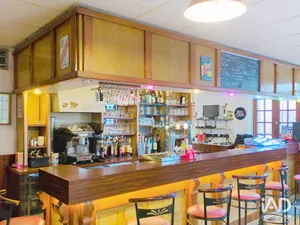 Bar-brasserie à SAINT-MARTIN-SUR-OCRE (45500)