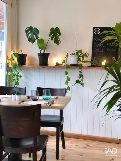 Bar-brasserie à MIMIZAN (40200)