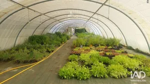 Commercial walls in SAINT-MAGNE-DE-CASTILLON (33350)