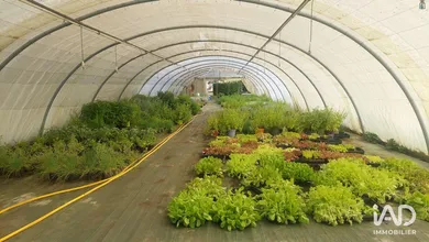 Commercial walls in SAINT-MAGNE-DE-CASTILLON (33350)