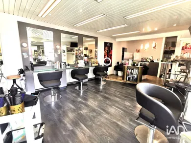 Business asset in PLOUFRAGAN (22440)