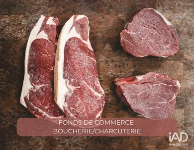 Commercial walls in COGNIN (73160)