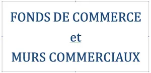 Business asset in REVEL (31250)