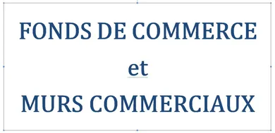 Business asset in REVEL (31250)