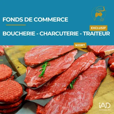 Commercial in NIORT (79000)