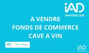 Commercial in MATIGNON (22550)