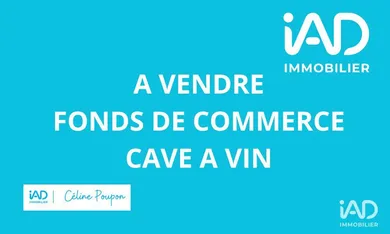 Commercial in MATIGNON (22550)